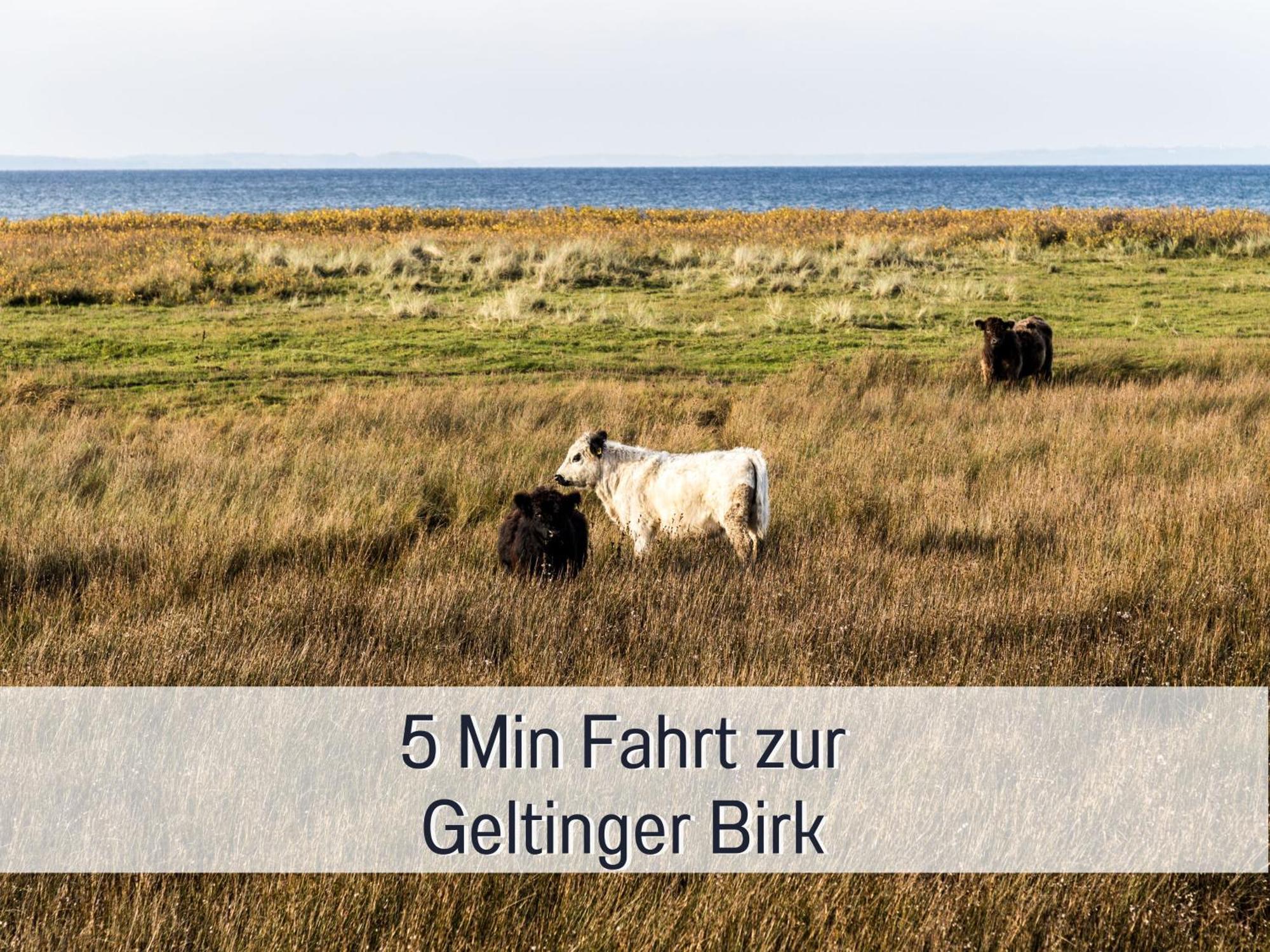 Ferienhaus Topferhaus: Beach-Close Pet-Friendly Retreat with Workation Amenities Steinberg  Exterior photo